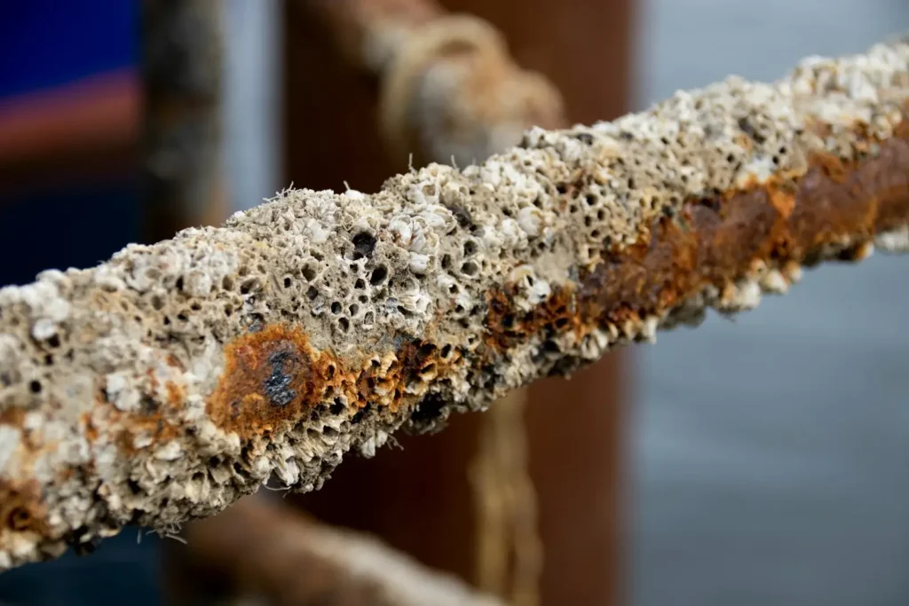 a close up of a rusted metal bar