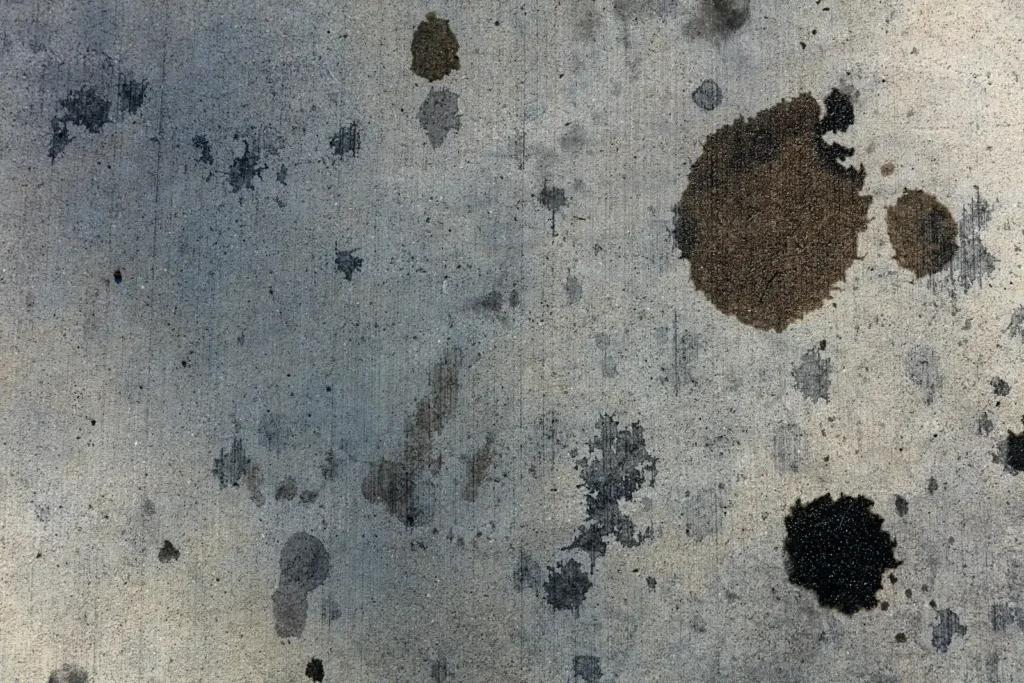 Abstract paintings in white and brown